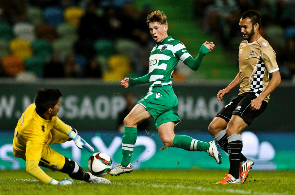 sporting-aves
