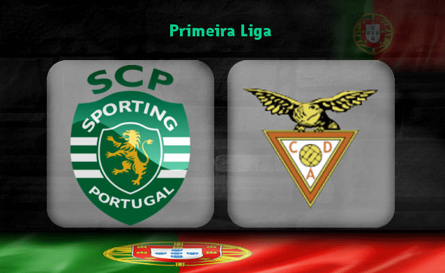 sporting-aves